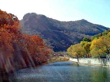 澳门二四六天天彩图库，海棠依旧泛崇光目录